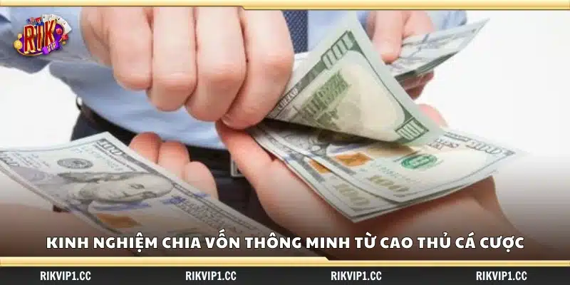 Kinh nghiệm chia vốn thông minh từ cao thủ cá cược